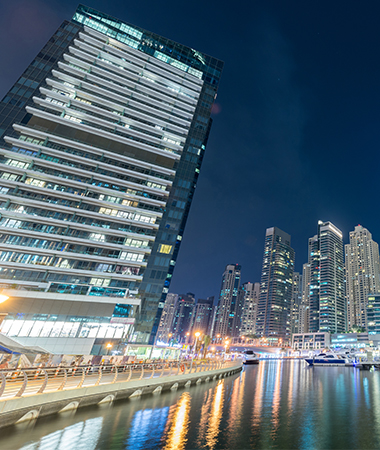 阿聯(lián)酋項目